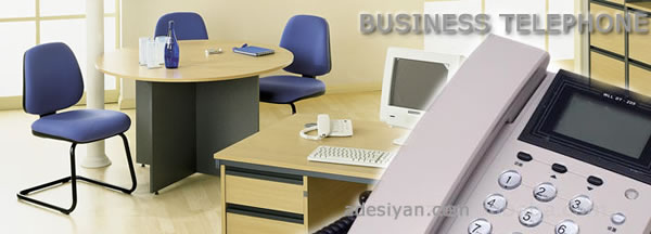 BUSINESS TELEPHONE